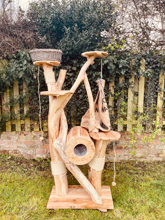 The Feline Funhouse 3000