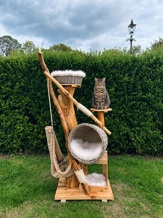 Hissy Elliot’s Tree of Misbehaviour